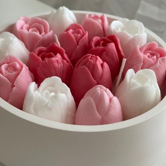 Tulip Garden - Pembe Lale Bahçesi
