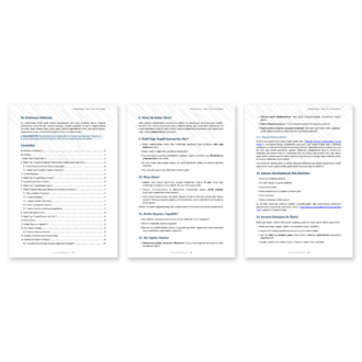 Riskli Yapı Tespiti Nedir? – PDF Rehber
