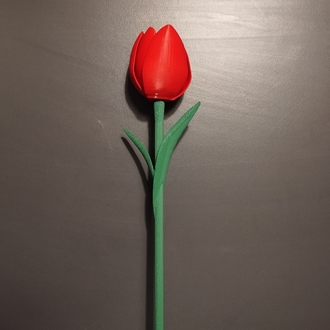 Tekli | Dekoratif 3D Lale