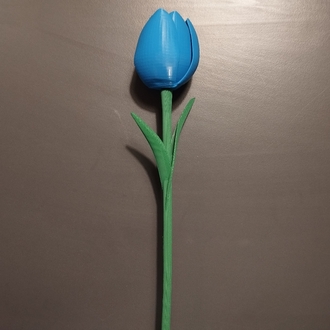 Tekli | Dekoratif 3D Lale