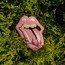 Lick It