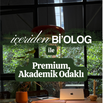 Mentorluk: Premium, Akademik Odaklı