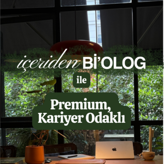 Mentorluk: Premium, Kariyer Odaklı