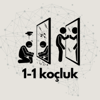 1:1 Koçluk: Kendinin CEO’su Olma Programı