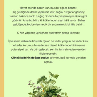 Yeniden Sevmeyi Öğrenmek