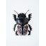 Armoured Scarabeus Sculpture 
