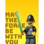 THE FORCE