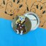 Legopaws (Legolas - Lord of the Rings) Rozet 
