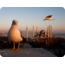 Asayiş Berkemal - Kartpostal