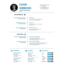Profesyonel CV Şablonu