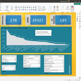POWER BI | İNSAN KAYNAKLARI DASHBOARD