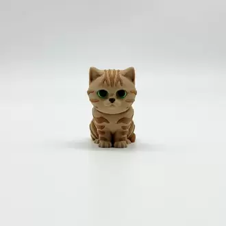 Tekir Kedi ve Oyuncu Çantalı Kedi Charm Anahtarlık ve Oyuncak Seti