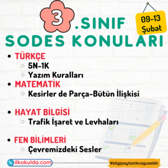 3. Sınıf 20. Hafta (09-13 Şubat) Süreç Değerlendirme Sınavı (SODES)