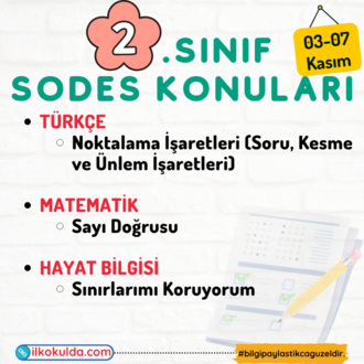 2. Sınıf 09. Hafta (03-07 Kasım) Süreç Değerlendirme Sınavı (SODES)