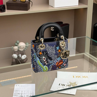 LADY DIOR ART SMALL