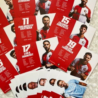 Feyenoord Lisanslı Kartlar