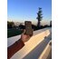 ULTRA SLİM ( 0.3 mm ) İPHONE 3 AL 2 ÖDE (13/12/11)