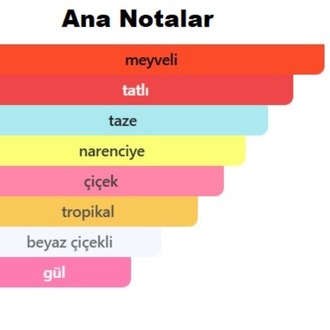 Bombshell Kadın Parfüm 50 ml