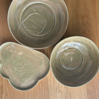 Bowl yosun yeşil