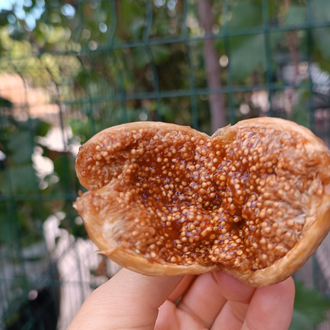 1 kg büyük boy çatlak yeni mahsül dağ inciri 