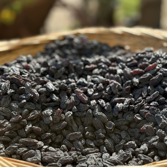 1 kg Çekirdeksiz Özbek Üzümü