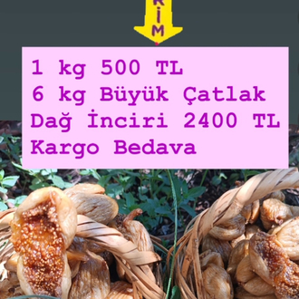 6 kg Büyük Çatlak Dağ İnciri 