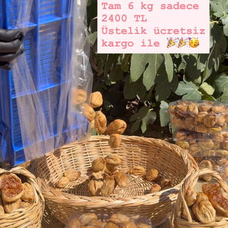 6 kg Büyük Çatlak Dağ İnciri 