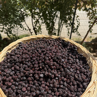 500 Gr Vişne Kurusu 