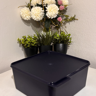 Tupperware kare 5 Lt