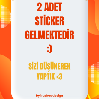 2'li Lilo & Stitch Sticker Seti