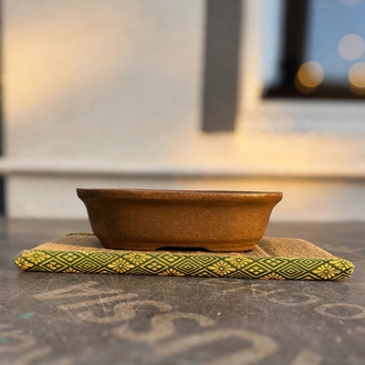 Stoneware Sırlı Seramik Bonsai Saksısı 20 cm