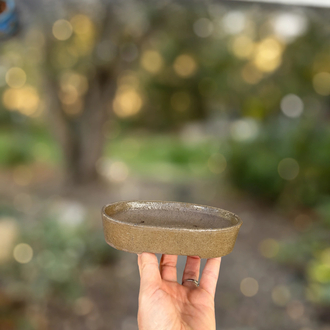 Stoneware Sırlı Seramik Bonsai Saksısı 16 cm