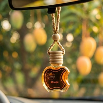 Mango Araç Kokusu