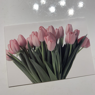 Laleler Zarflı Kartpostal
