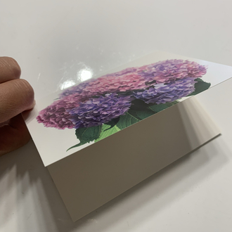 Ortancalar Zarflı Kartpostal