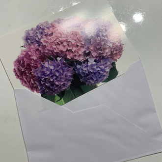Ortancalar Zarflı Kartpostal