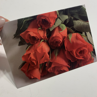 Güller Zarflı Kartpostal