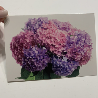 Ortancalar Zarflı Kartpostal