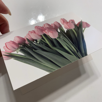 Laleler Zarflı Kartpostal
