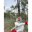 Pine Balaclava