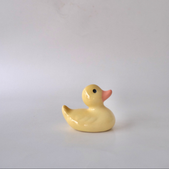 The Smol Duck