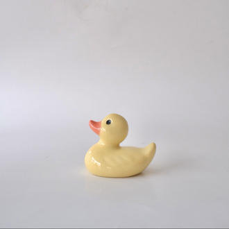 The Smol Duck