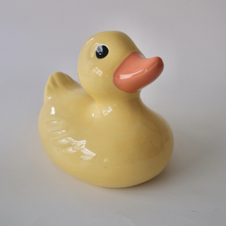 The Big Duck