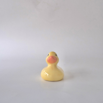 The Smol Duck