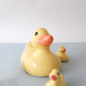 The Duck Family