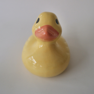 The Big Duck