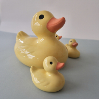 The Smol Duck