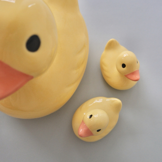 The Duck Family