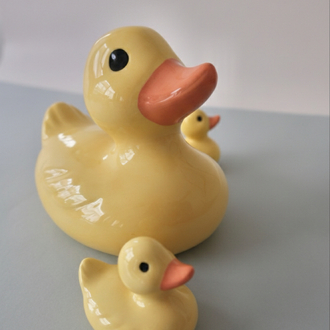 The Duck Family