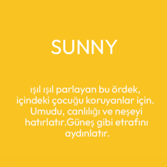 Sunny